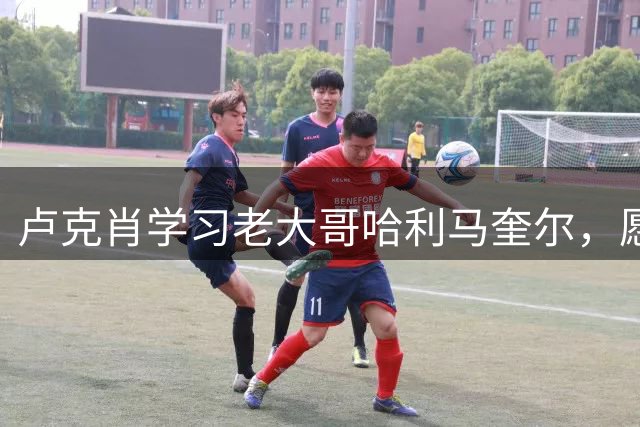 卢克肖学习老大哥哈利马奎尔，愿意减薪续约曼联